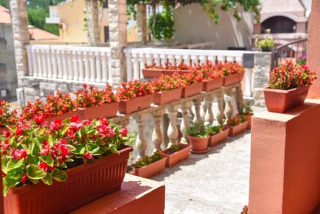 Vila Apartments Lidija Petrovac Екстер'єр фото